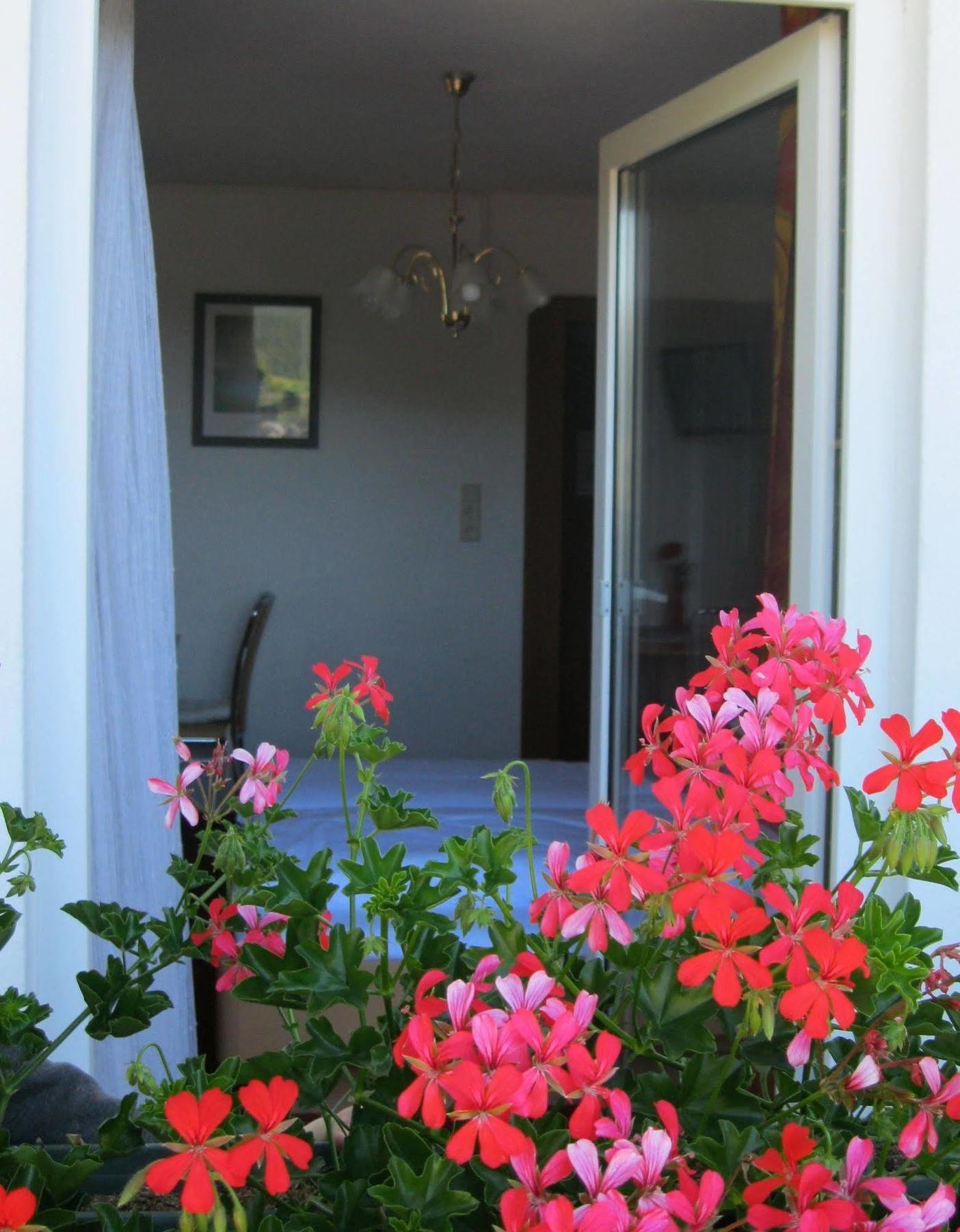 Krinserhof Easy-Rooms Seefeld in Tirol Bagian luar foto